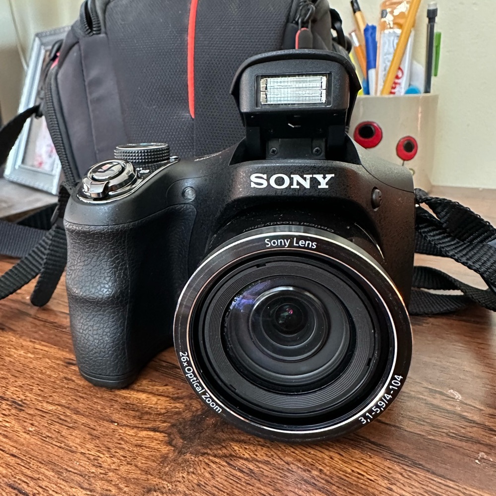 Sony Black Digital Camera